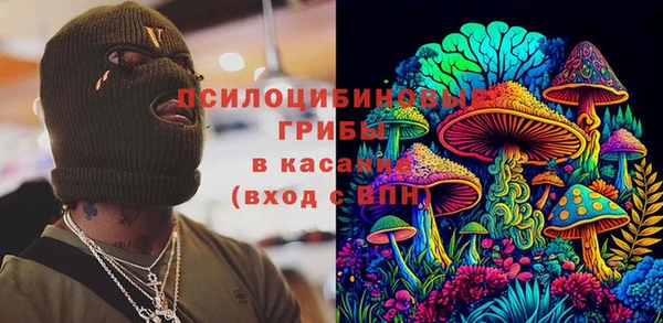 гашик Няндома