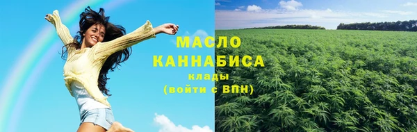 гашик Няндома