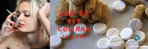 гашик Няндома