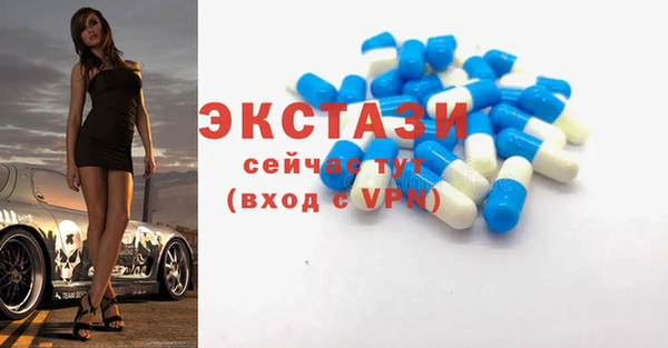 гашик Няндома