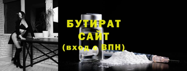 гашик Няндома
