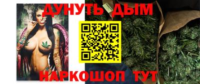 сатива Бийск