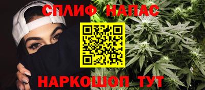 сатива Бийск