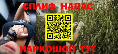 сатива Бийск